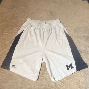Adidas Men's White and Blue Athletic Shorts